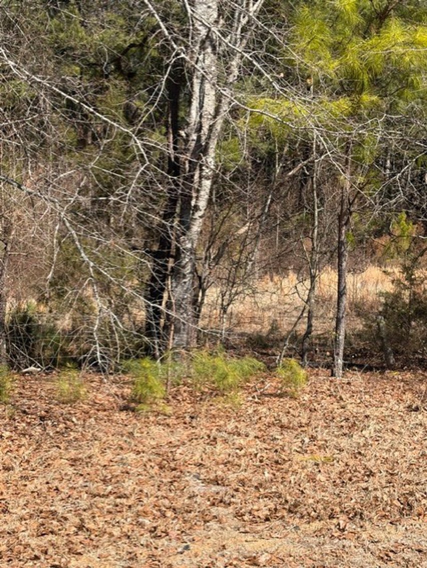 Image for Beautiful Tracts of Land between Coats and Dunn to be Divided!