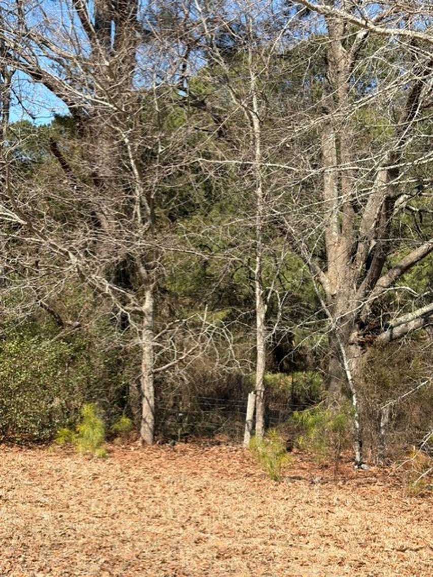 Image for Beautiful Tracts of Land between Coats and Dunn to be Divided!