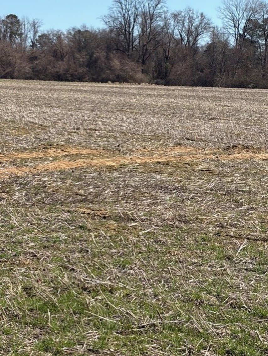 Image for Beautiful Tracts of Land between Coats and Dunn to be Divided!