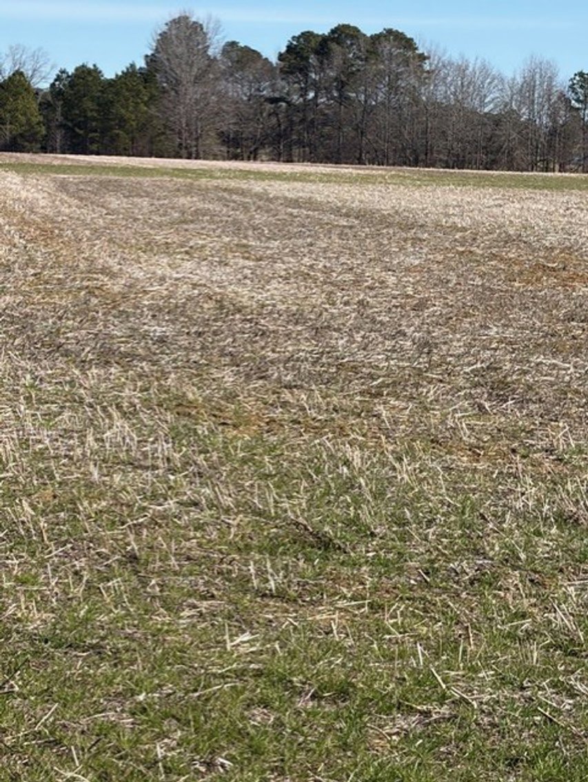 Image for Beautiful Tracts of Land between Coats and Dunn to be Divided!