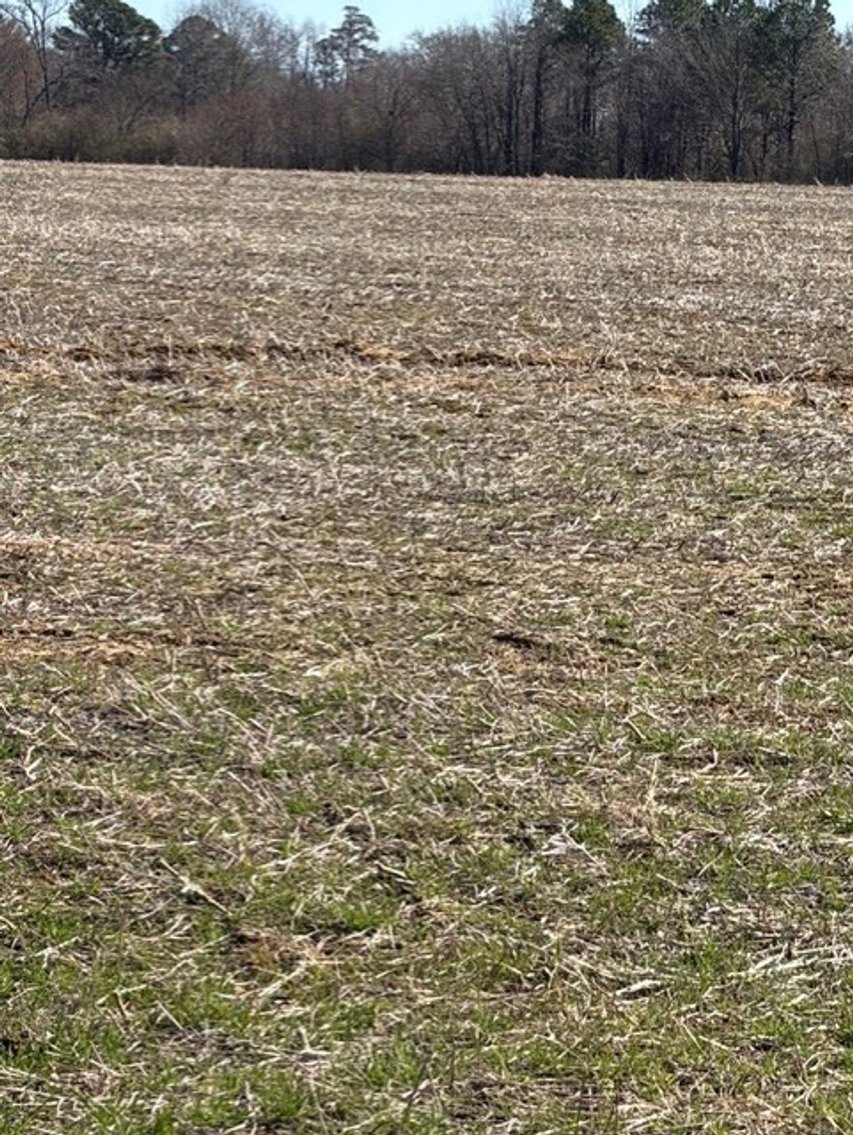 Image for Beautiful Tracts of Land between Coats and Dunn to be Divided!