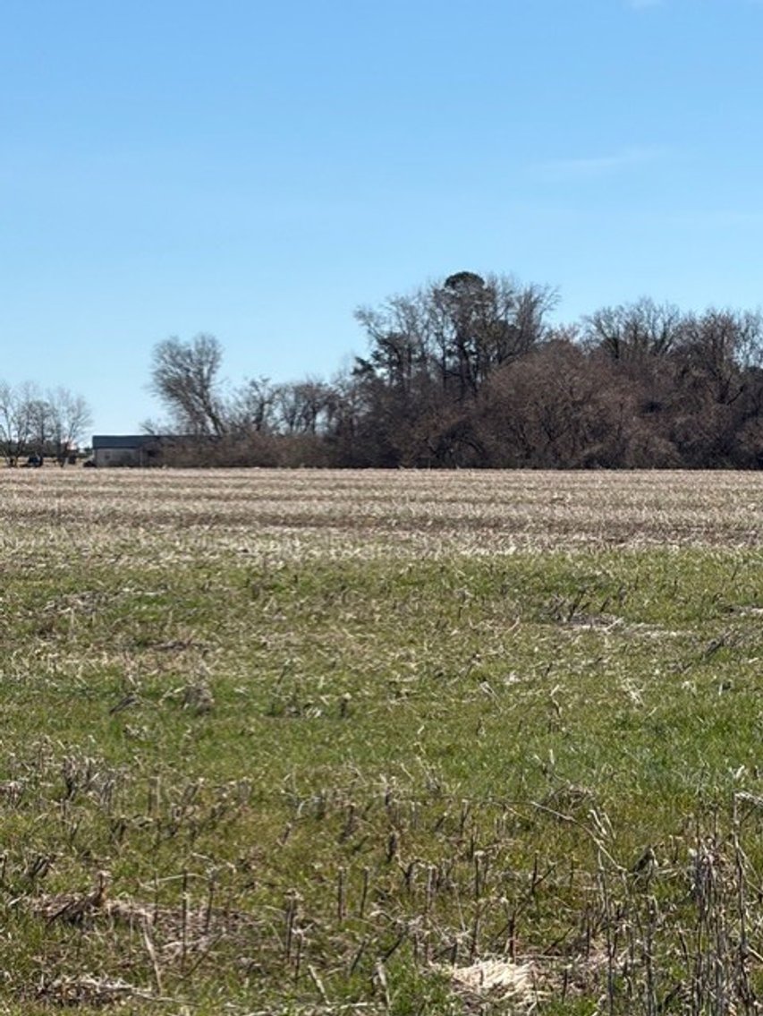 Image for Beautiful Tracts of Land between Coats and Dunn to be Divided!