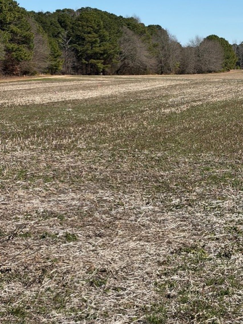 Image for Beautiful Tracts of Land between Coats and Dunn to be Divided!