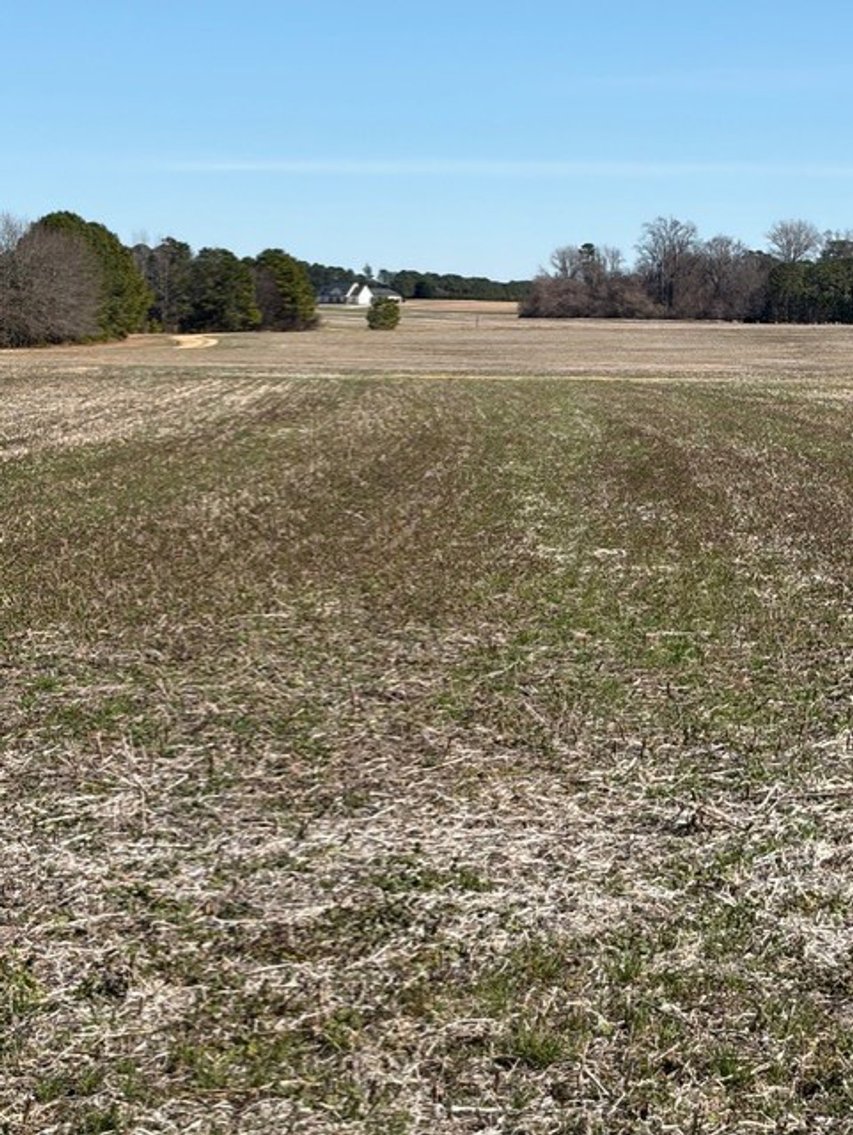 Image for Beautiful Tracts of Land between Coats and Dunn to be Divided!