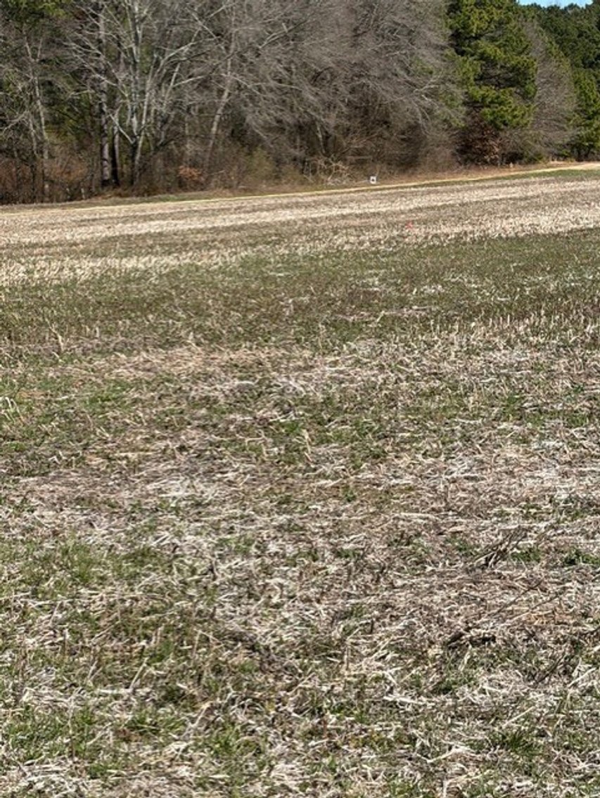 Image for Beautiful Tracts of Land between Coats and Dunn to be Divided!