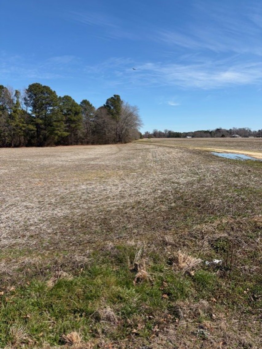 Image for Beautiful Tracts of Land between Coats and Dunn to be Divided!