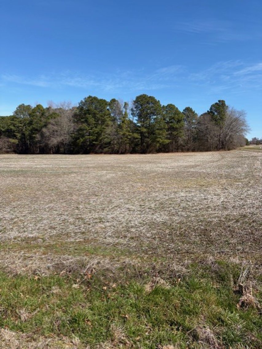 Image for Beautiful Tracts of Land between Coats and Dunn to be Divided!