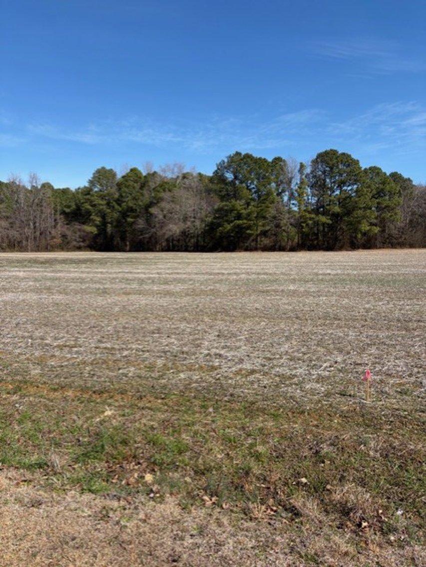 Image for Beautiful Tracts of Land between Coats and Dunn to be Divided!