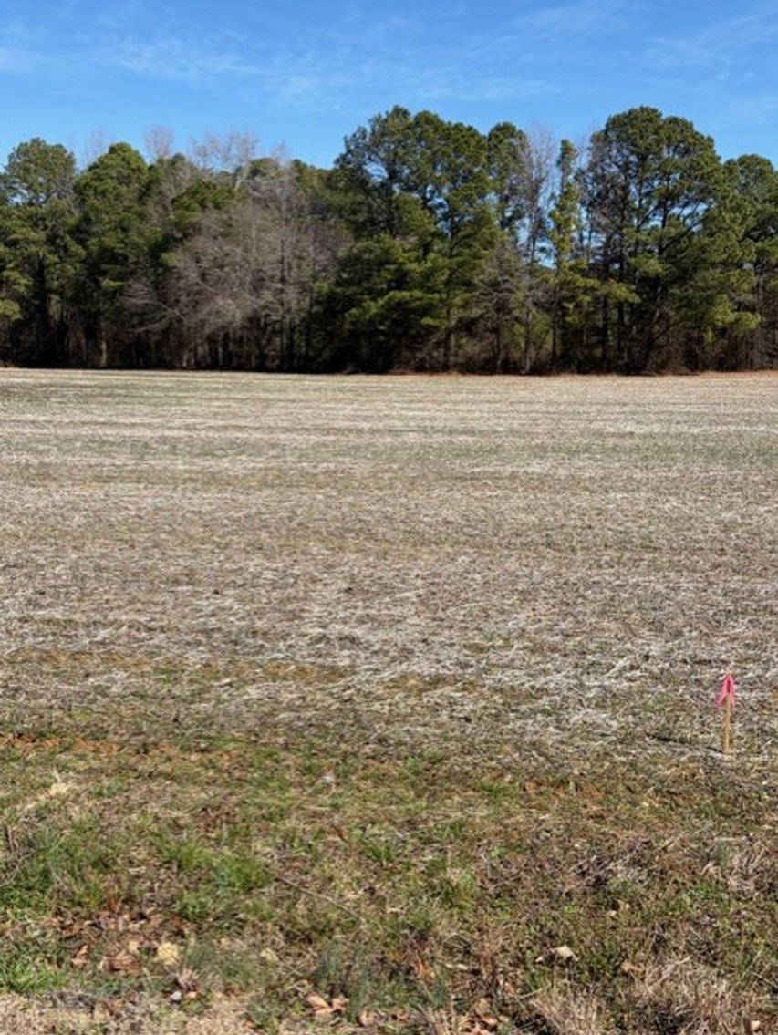 Image for Beautiful Tracts of Land between Coats and Dunn to be Divided!