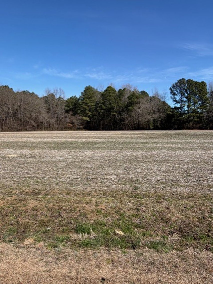 Image for Beautiful Tracts of Land between Coats and Dunn to be Divided!