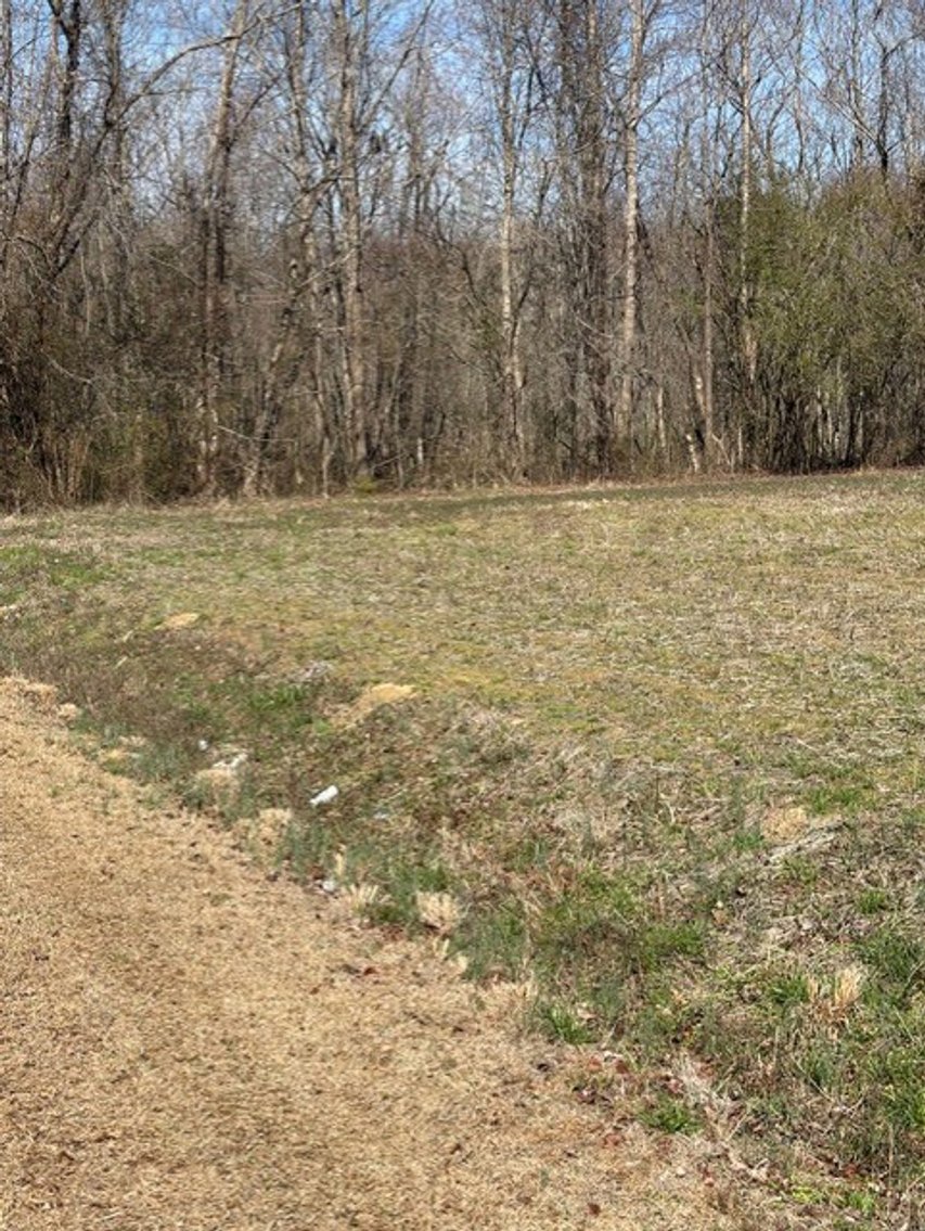 Image for Beautiful Tracts of Land between Coats and Dunn to be Divided!