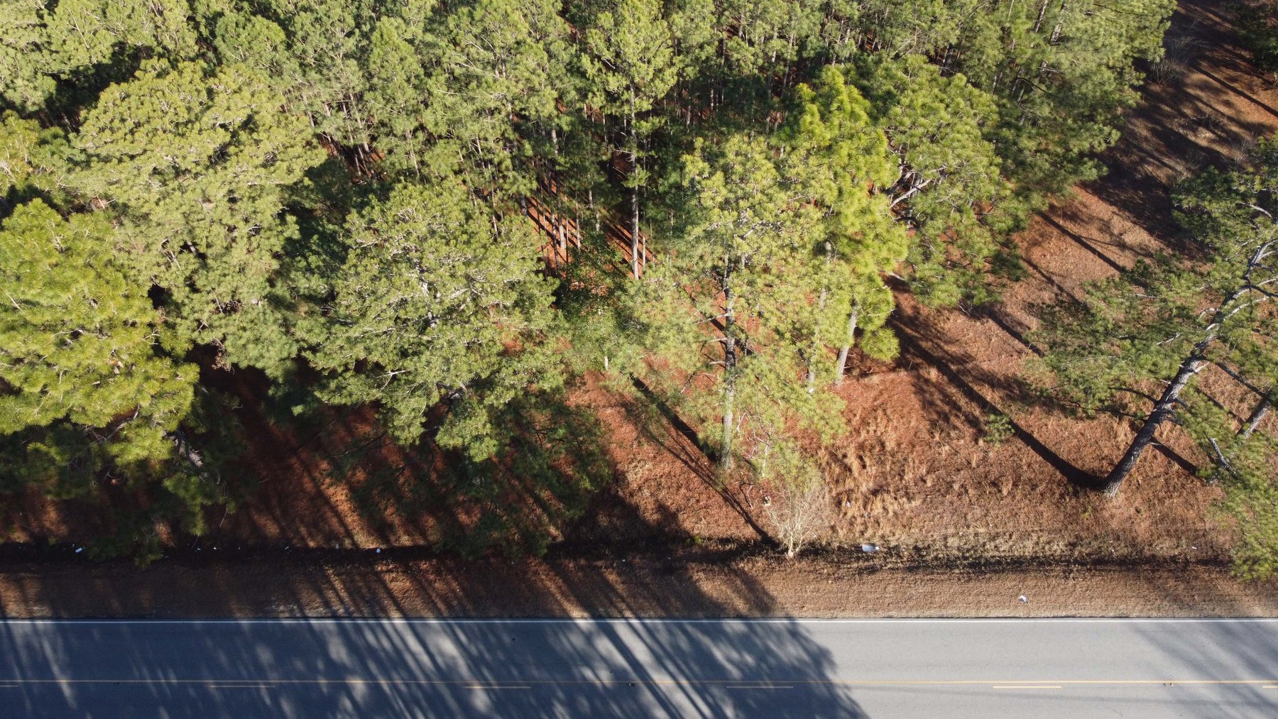 Image for 44.64 acres in Harnett County divided into 8 tracts!