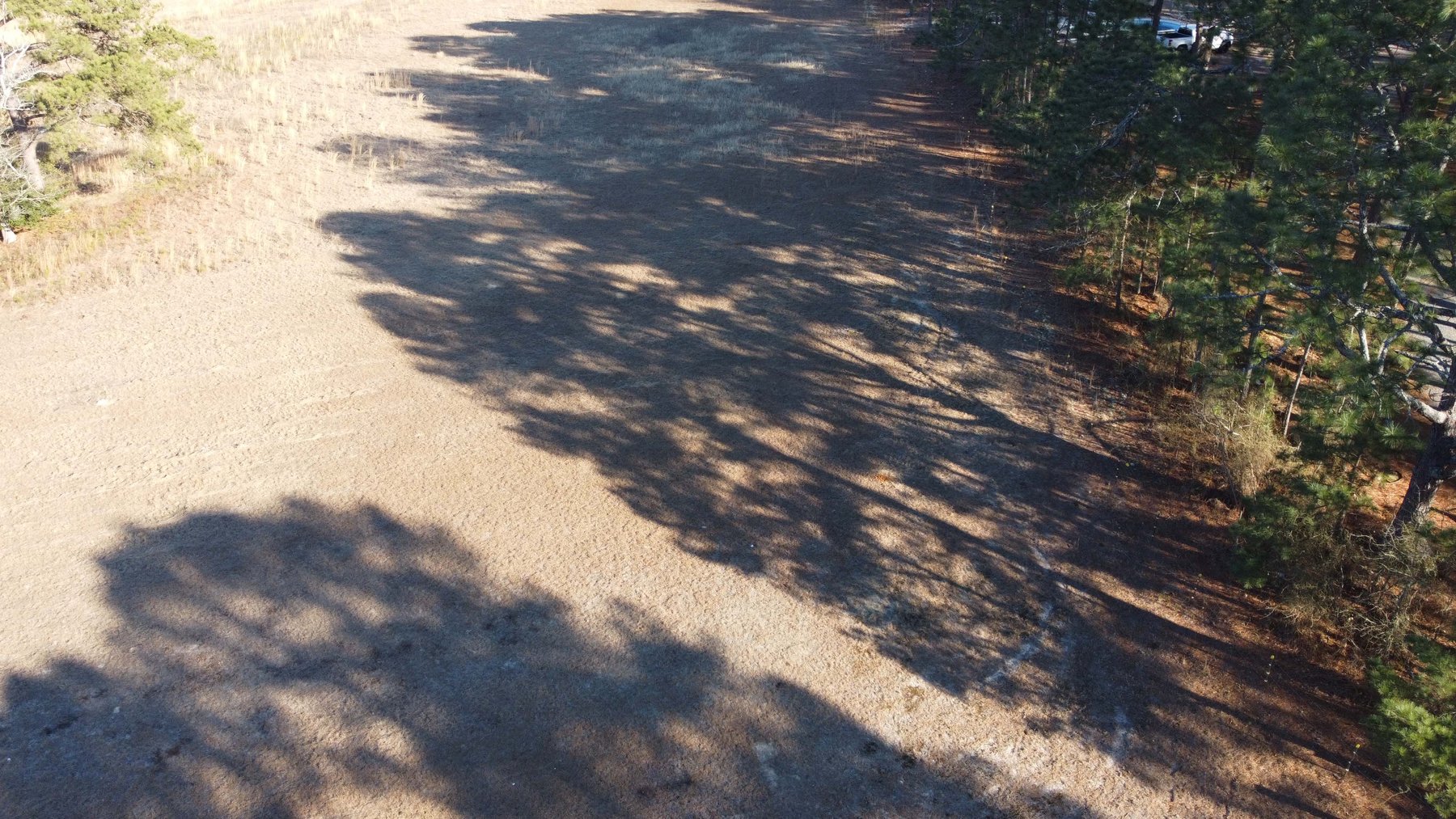 Image for 44.64 acres in Harnett County divided into 8 tracts!