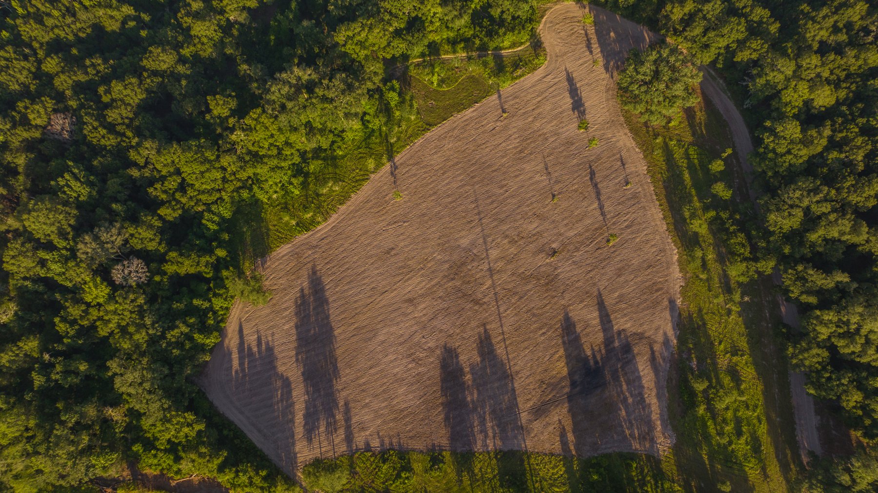 Image for 150 +/- Acres - Sportsman’s Paradise with Beautiful Custom Home in Mitchell County