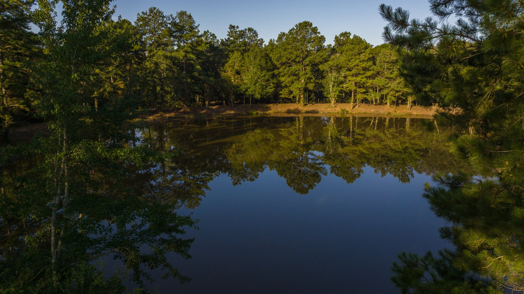 Image for 150 +/- Acres - Sportsman’s Paradise with Beautiful Custom Home in Mitchell County