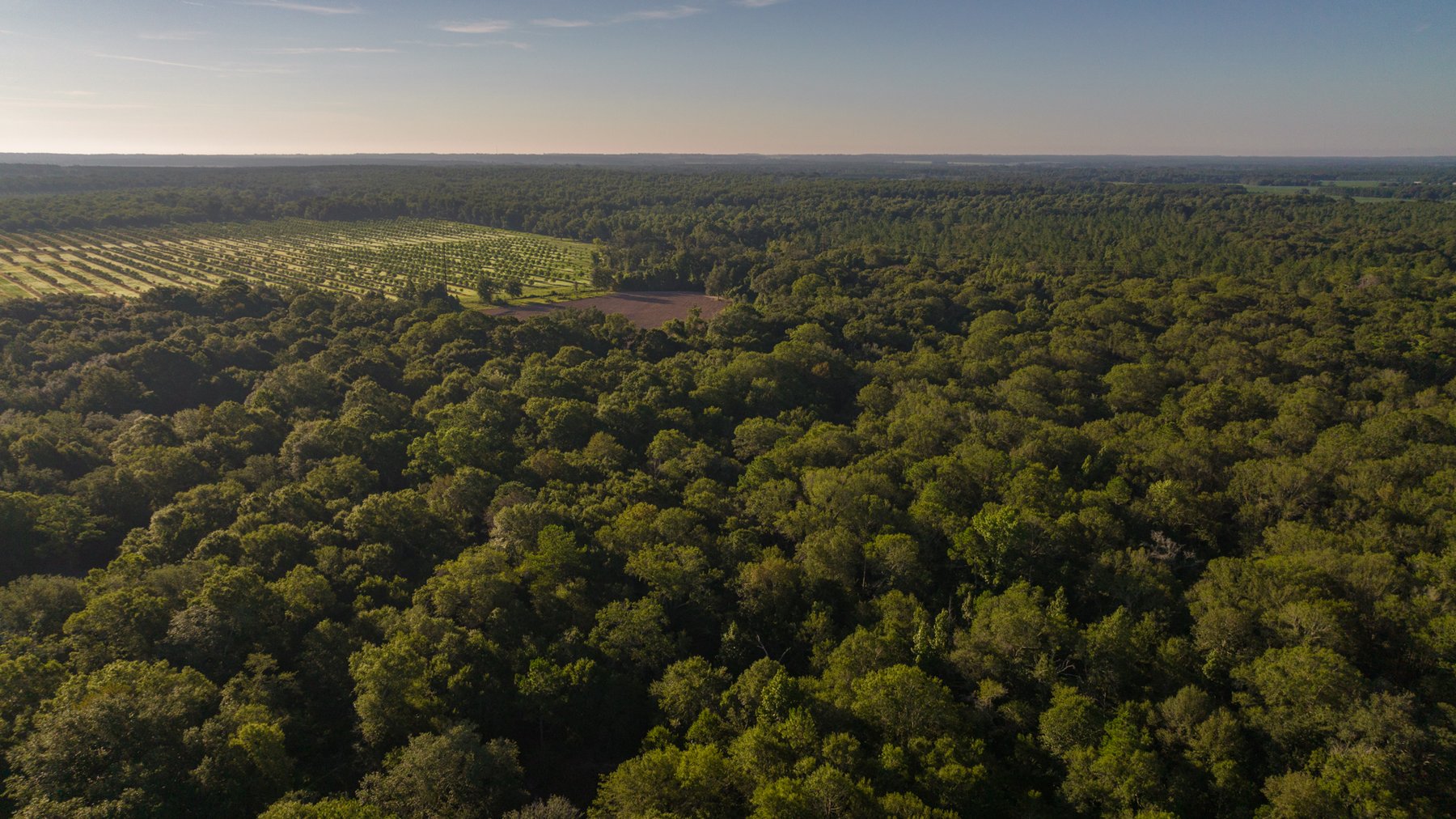 Image for 150 +/- Acres - Sportsman’s Paradise with Beautiful Custom Home in Mitchell County