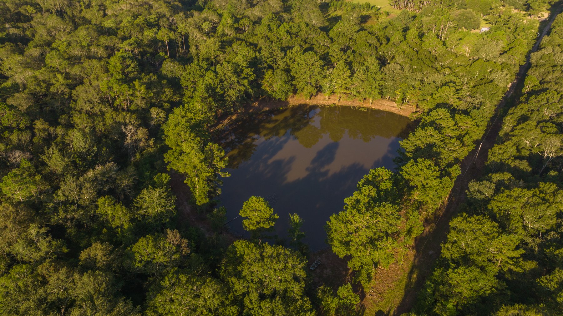 Image for 150 +/- Acres - Sportsman’s Paradise with Beautiful Custom Home in Mitchell County