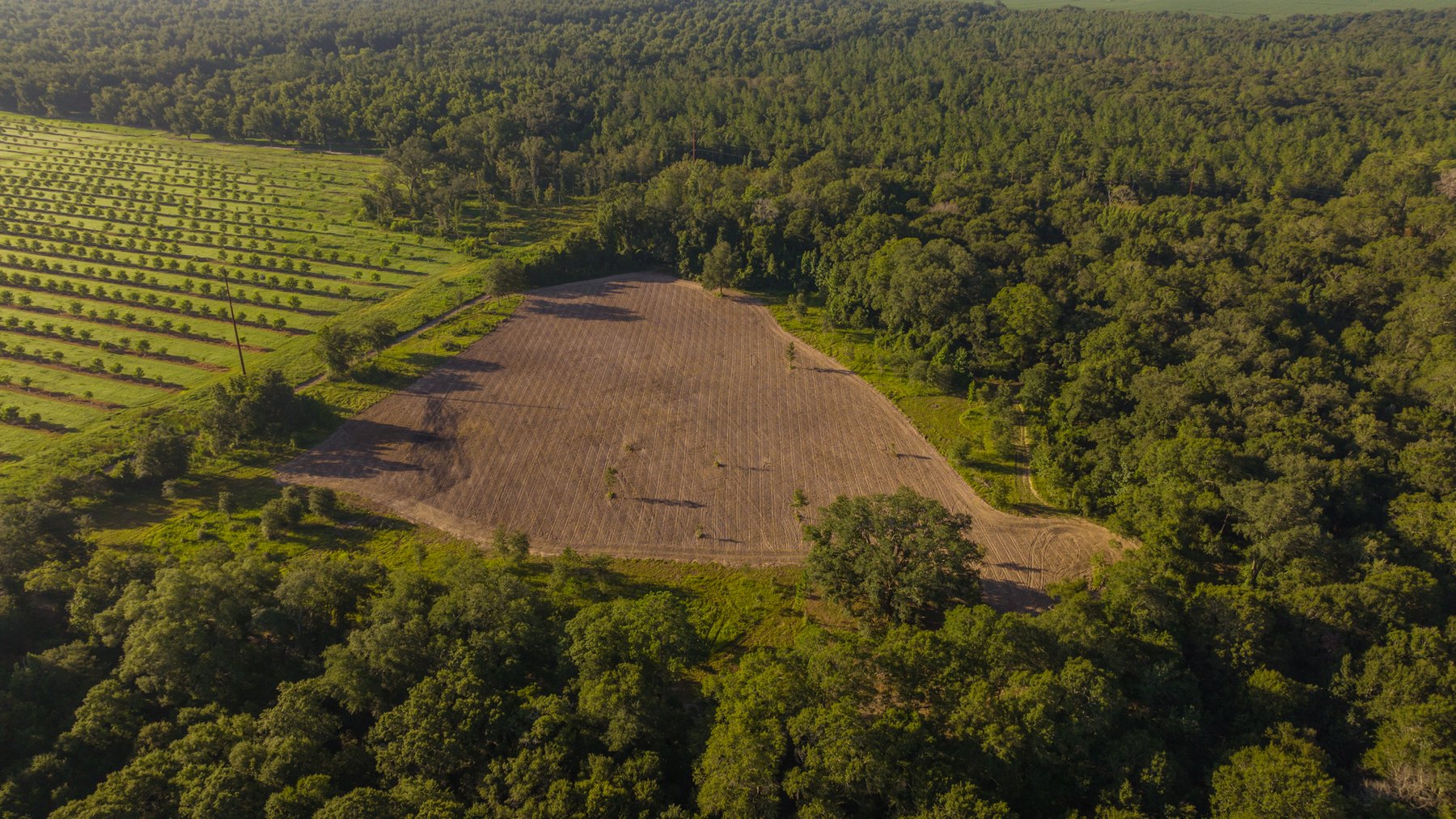 Image for 150 +/- Acres - Sportsman’s Paradise with Beautiful Custom Home in Mitchell County