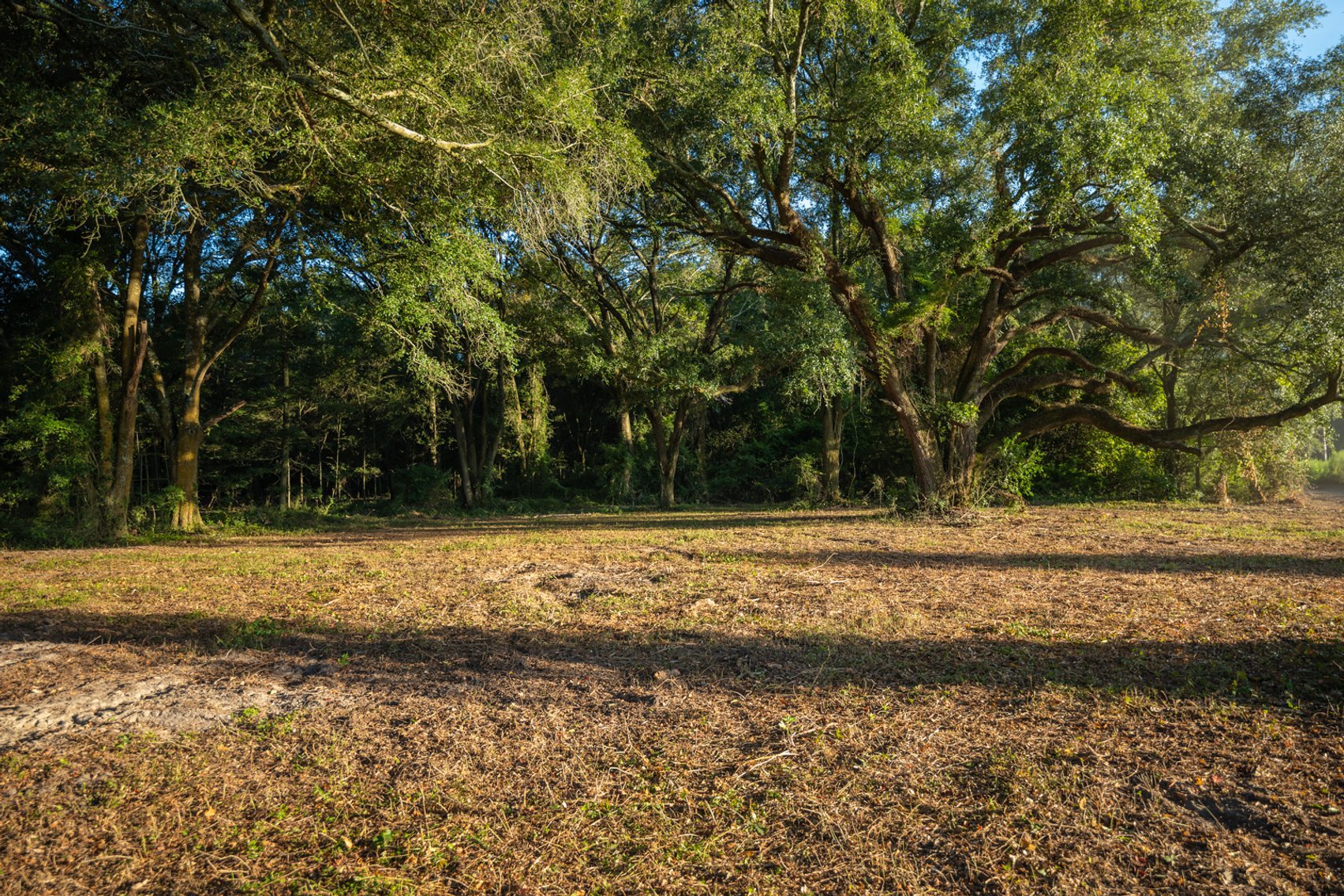 Image for 150 +/- Acres - Sportsman’s Paradise with Beautiful Custom Home in Mitchell County