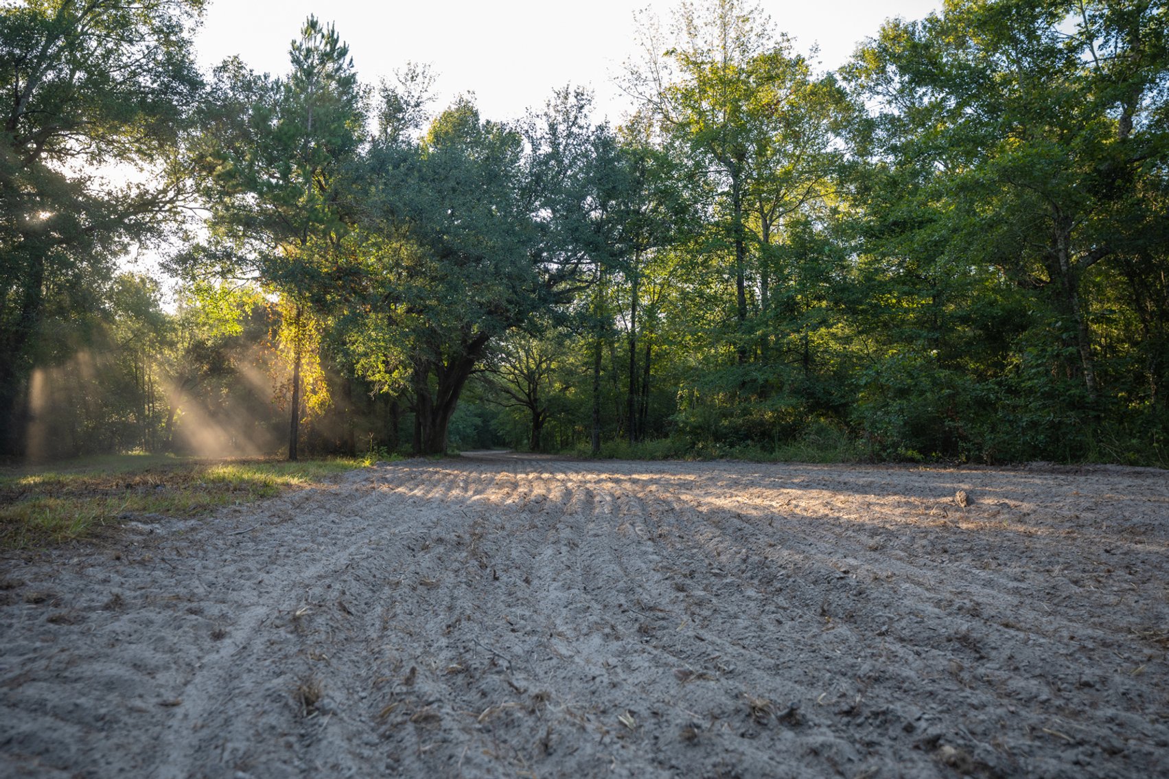 Image for 150 +/- Acres - Sportsman’s Paradise with Beautiful Custom Home in Mitchell County