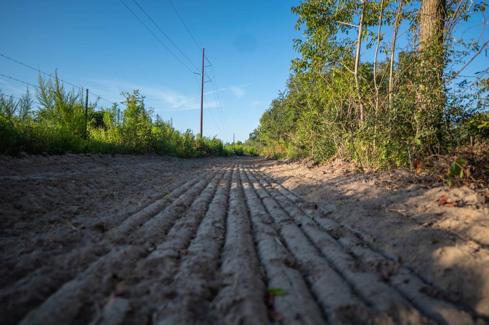 Image for 150 +/- Acres - Sportsman’s Paradise with Beautiful Custom Home in Mitchell County