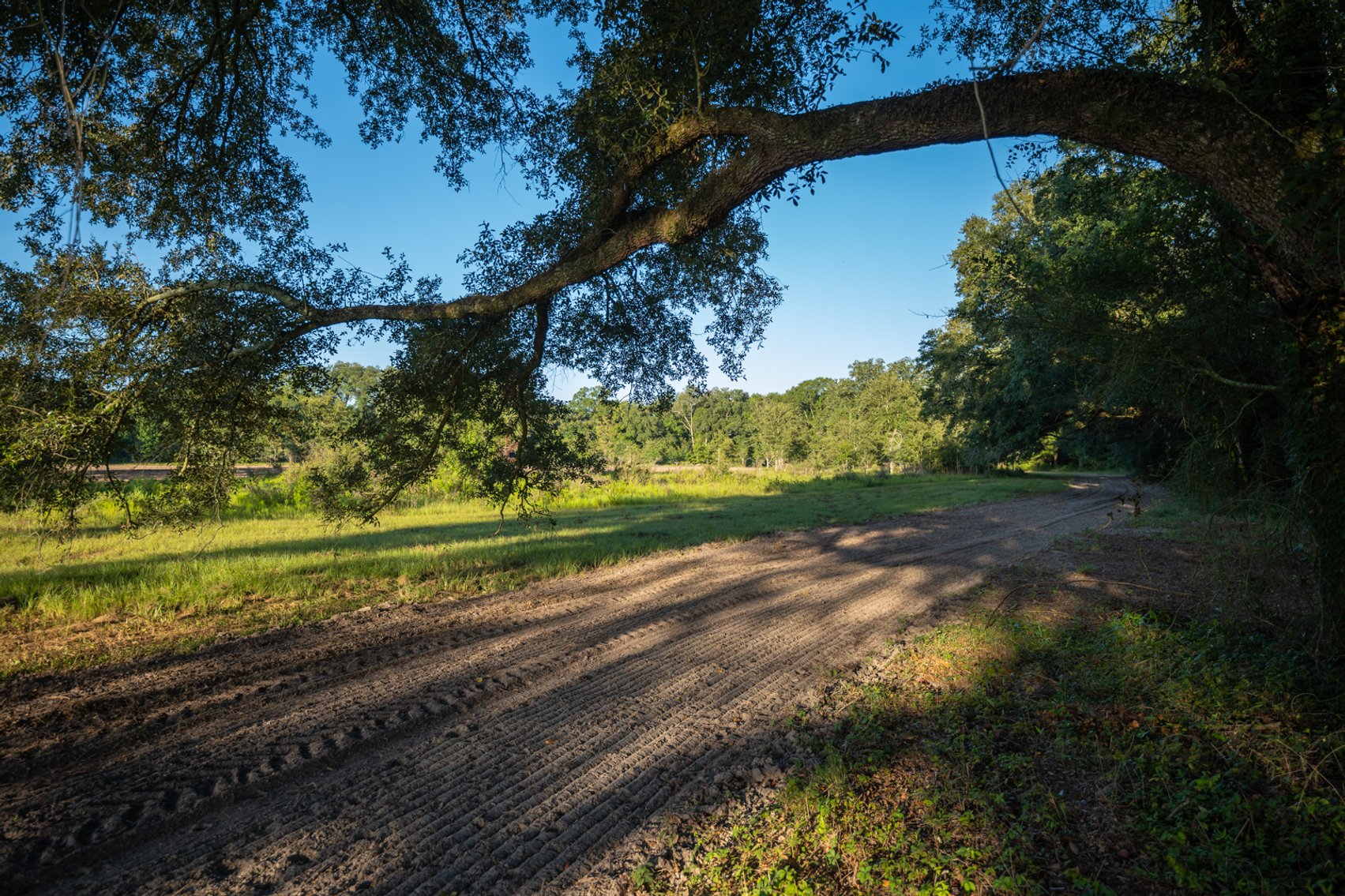 Image for 150 +/- Acres - Sportsman’s Paradise with Beautiful Custom Home in Mitchell County