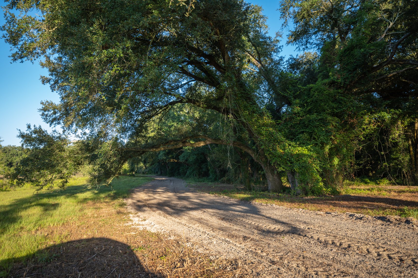 Image for 150 +/- Acres - Sportsman’s Paradise with Beautiful Custom Home in Mitchell County