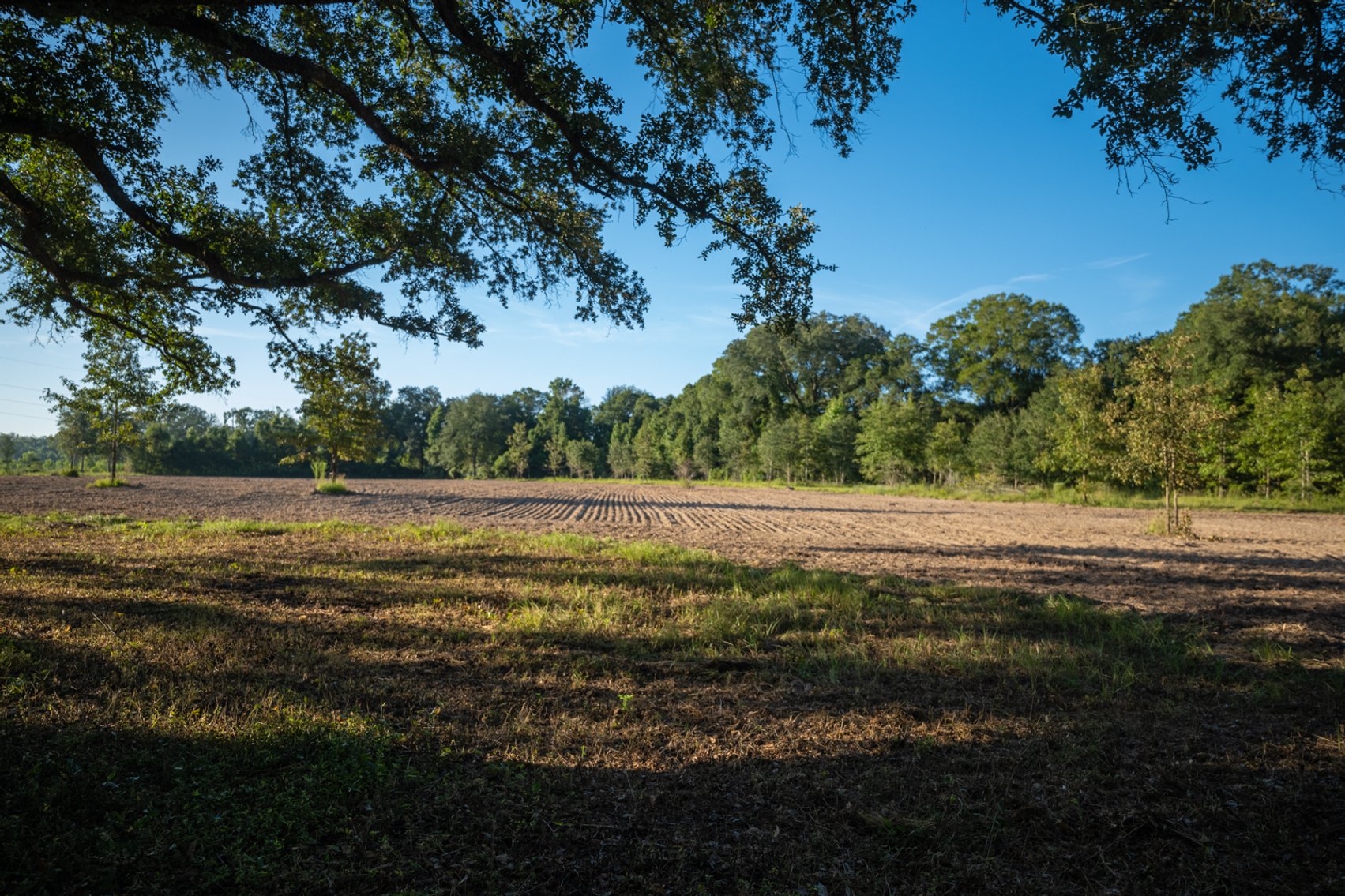 Image for 150 +/- Acres - Sportsman’s Paradise with Beautiful Custom Home in Mitchell County