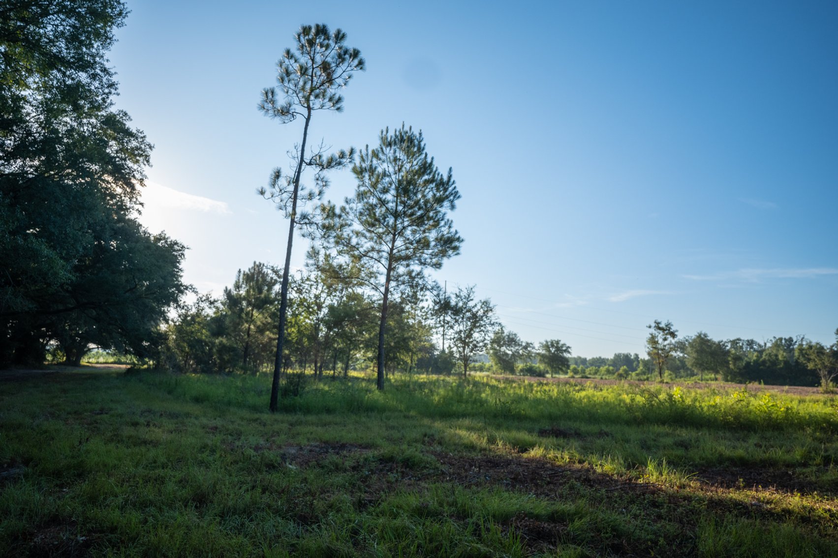 Image for 150 +/- Acres - Sportsman’s Paradise with Beautiful Custom Home in Mitchell County