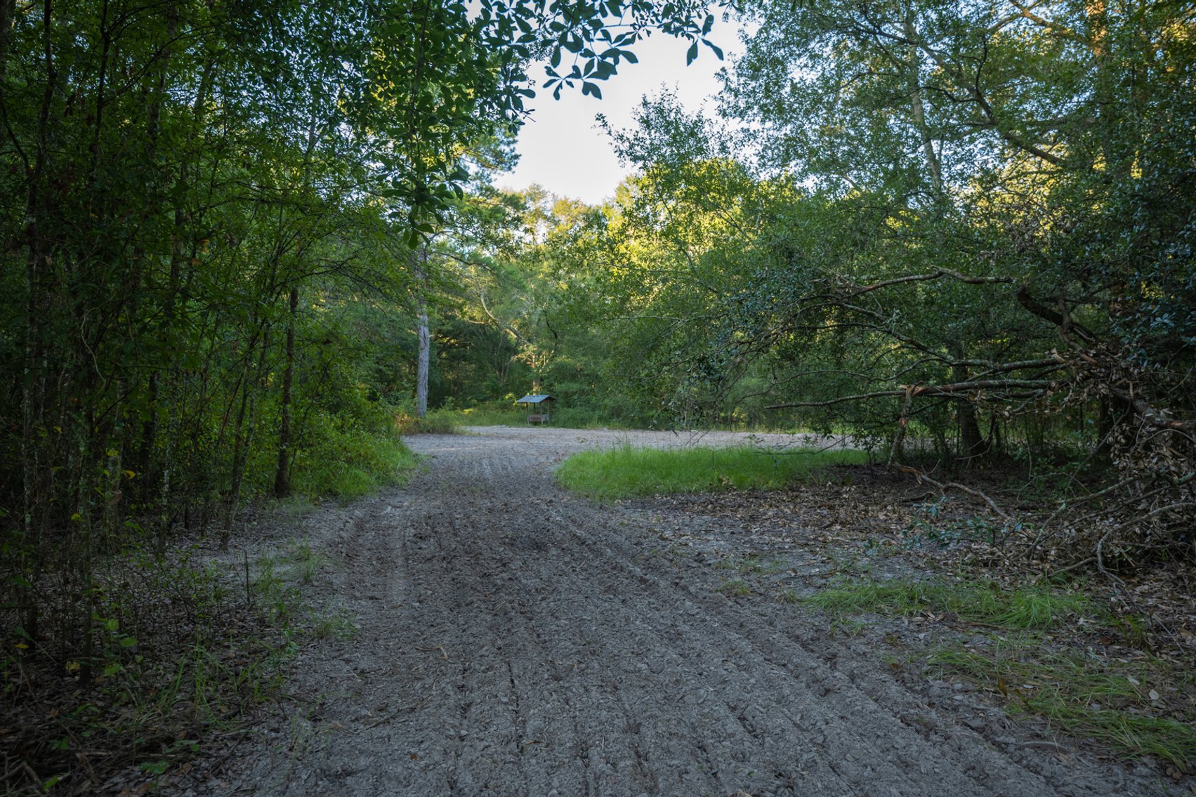 Image for 150 +/- Acres - Sportsman’s Paradise with Beautiful Custom Home in Mitchell County