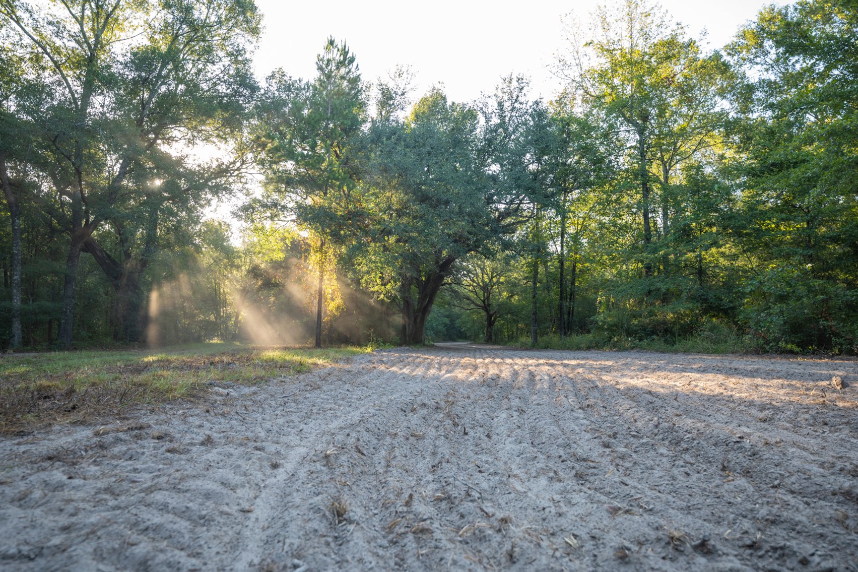 Image for 150 +/- Acres - Sportsman’s Paradise with Beautiful Custom Home in Mitchell County