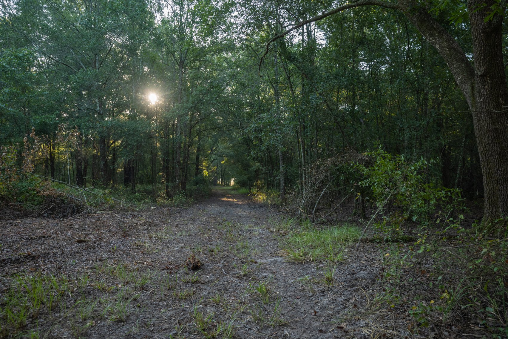 Image for 150 +/- Acres - Sportsman’s Paradise with Beautiful Custom Home in Mitchell County