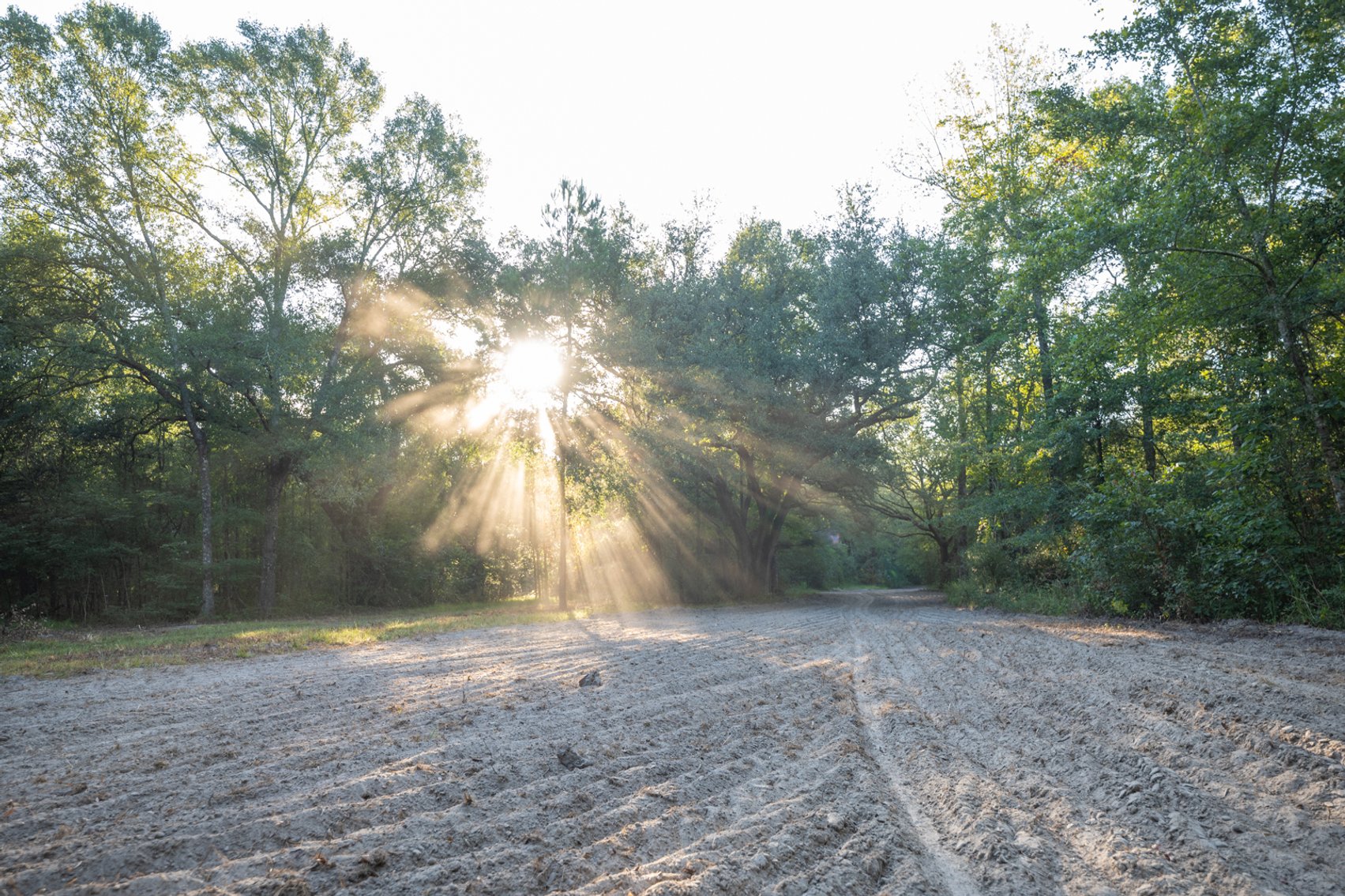 Image for 150 +/- Acres - Sportsman’s Paradise with Beautiful Custom Home in Mitchell County