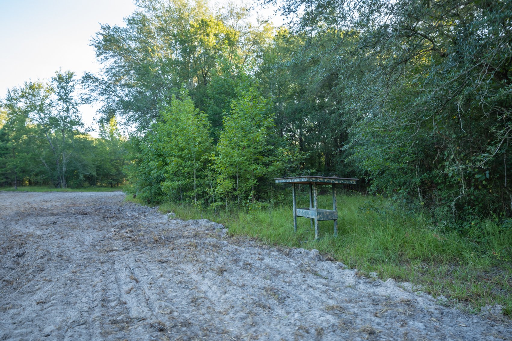 Image for 150 +/- Acres - Sportsman’s Paradise with Beautiful Custom Home in Mitchell County