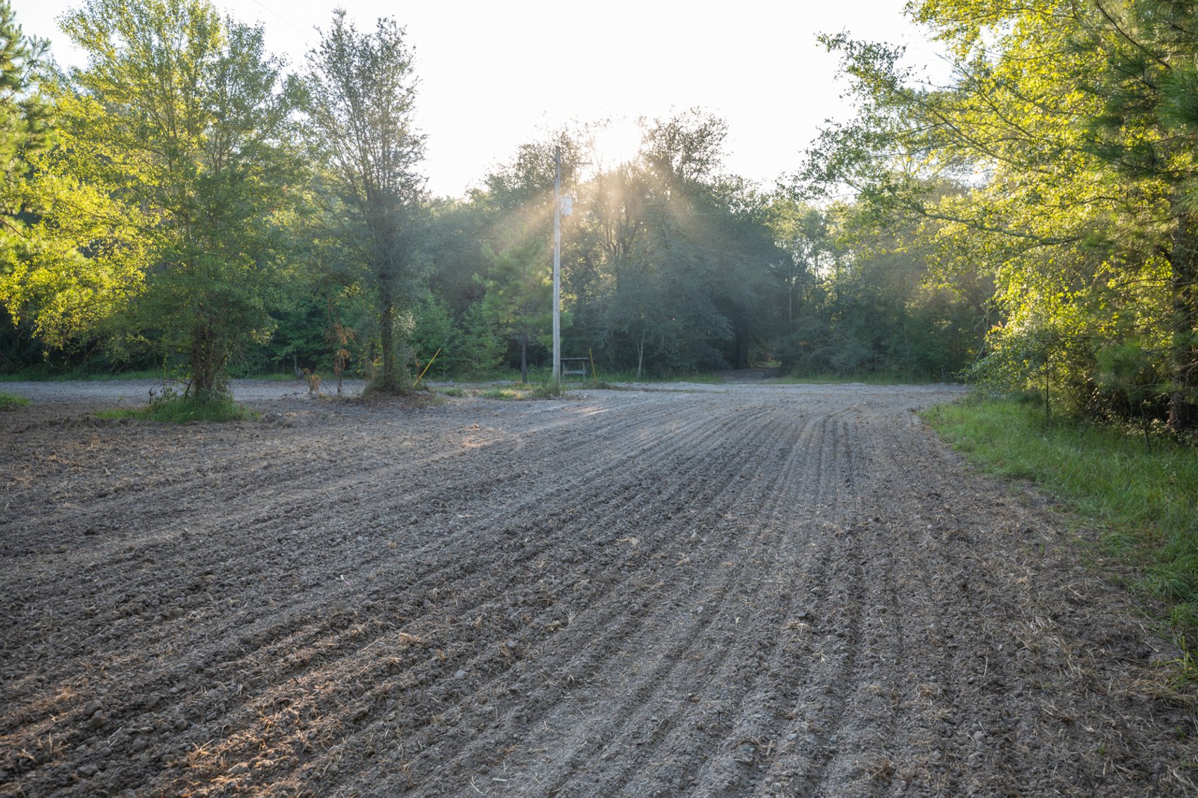 Image for 150 +/- Acres - Sportsman’s Paradise with Beautiful Custom Home in Mitchell County