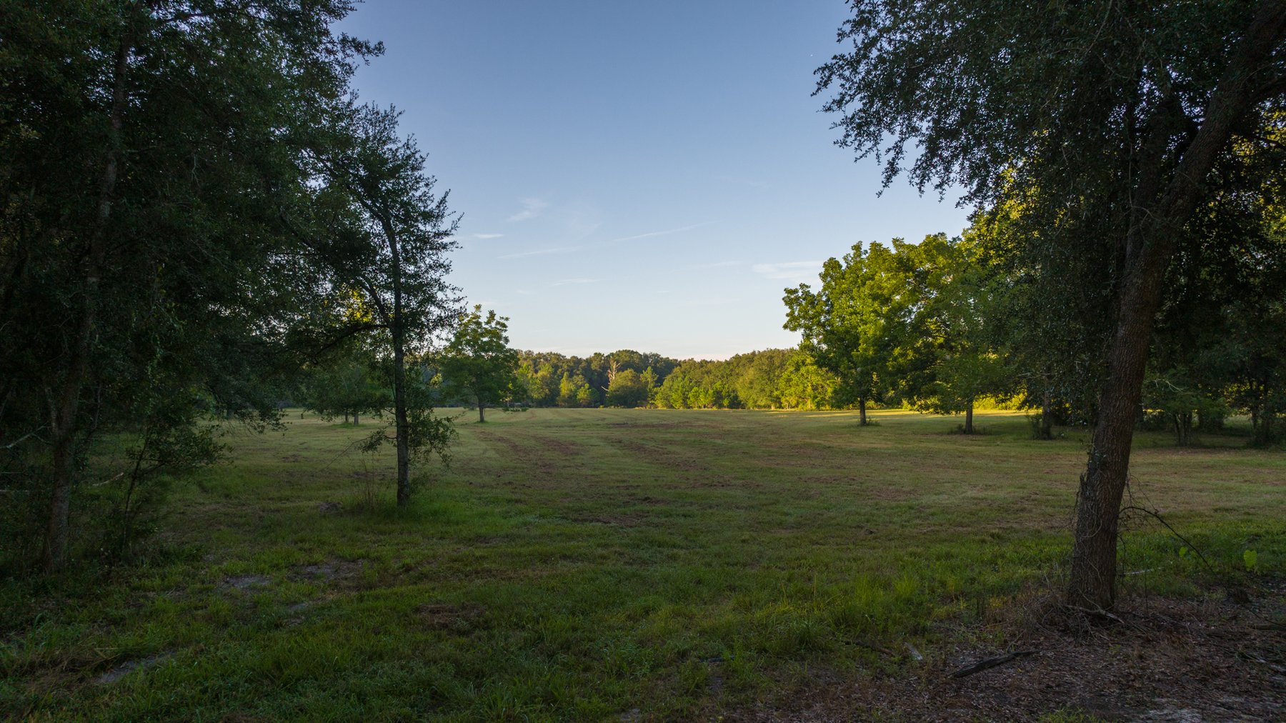 Image for 150 +/- Acres - Sportsman’s Paradise with Beautiful Custom Home in Mitchell County