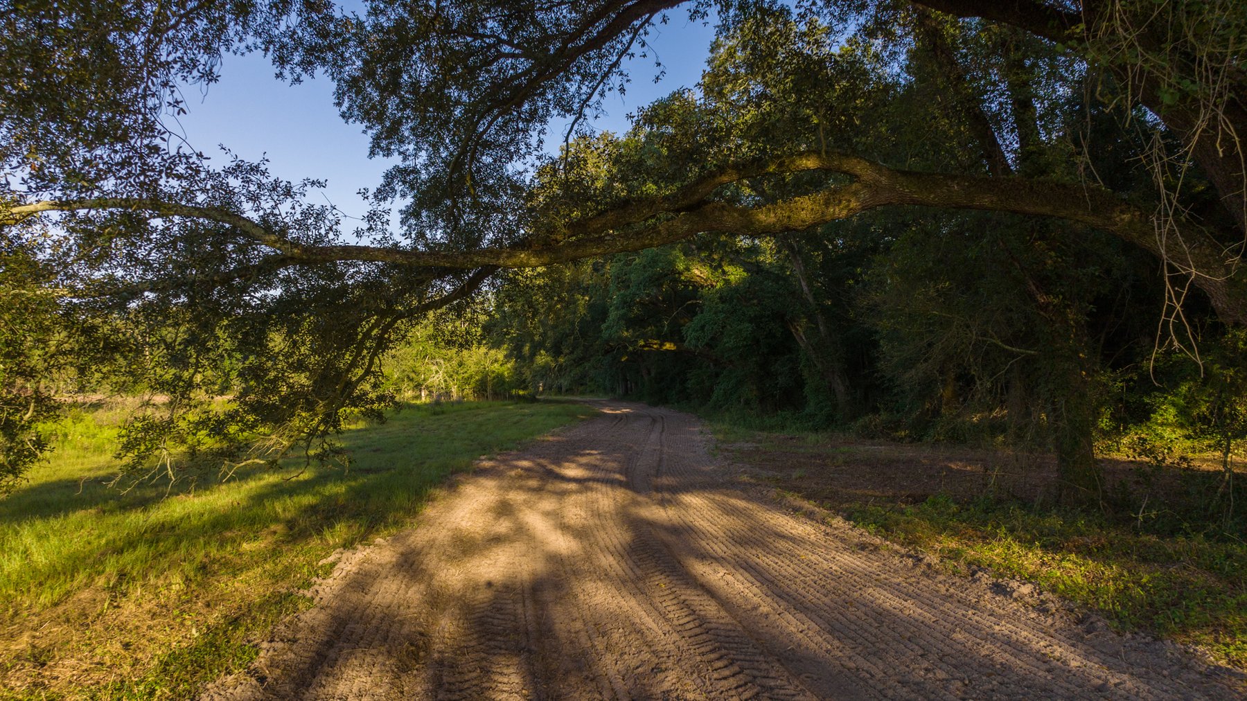 Image for 150 +/- Acres - Sportsman’s Paradise with Beautiful Custom Home in Mitchell County