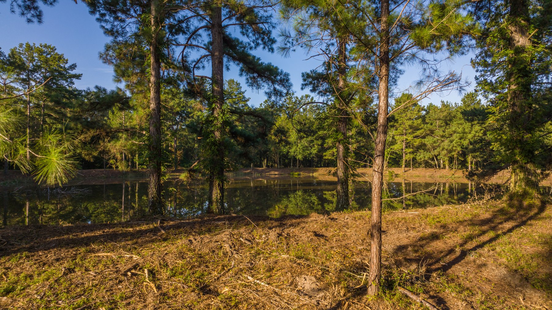 Image for 150 +/- Acres - Sportsman’s Paradise with Beautiful Custom Home in Mitchell County