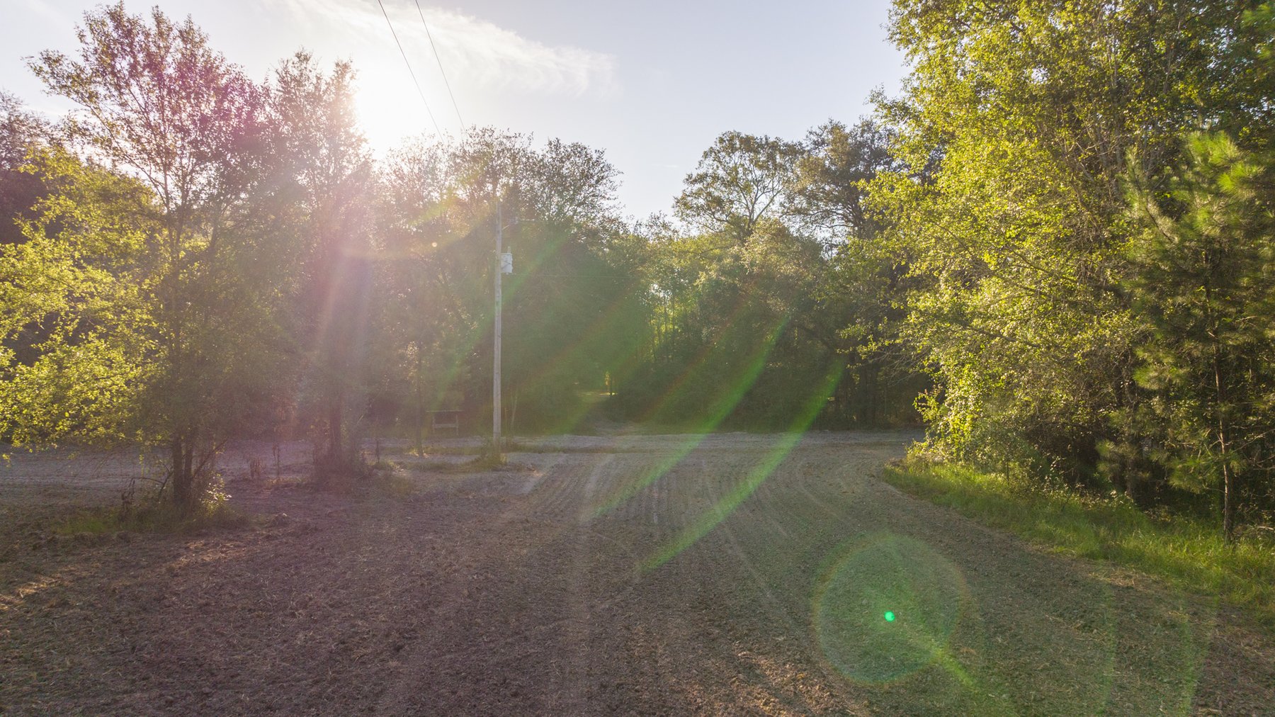 Image for 150 +/- Acres - Sportsman’s Paradise with Beautiful Custom Home in Mitchell County