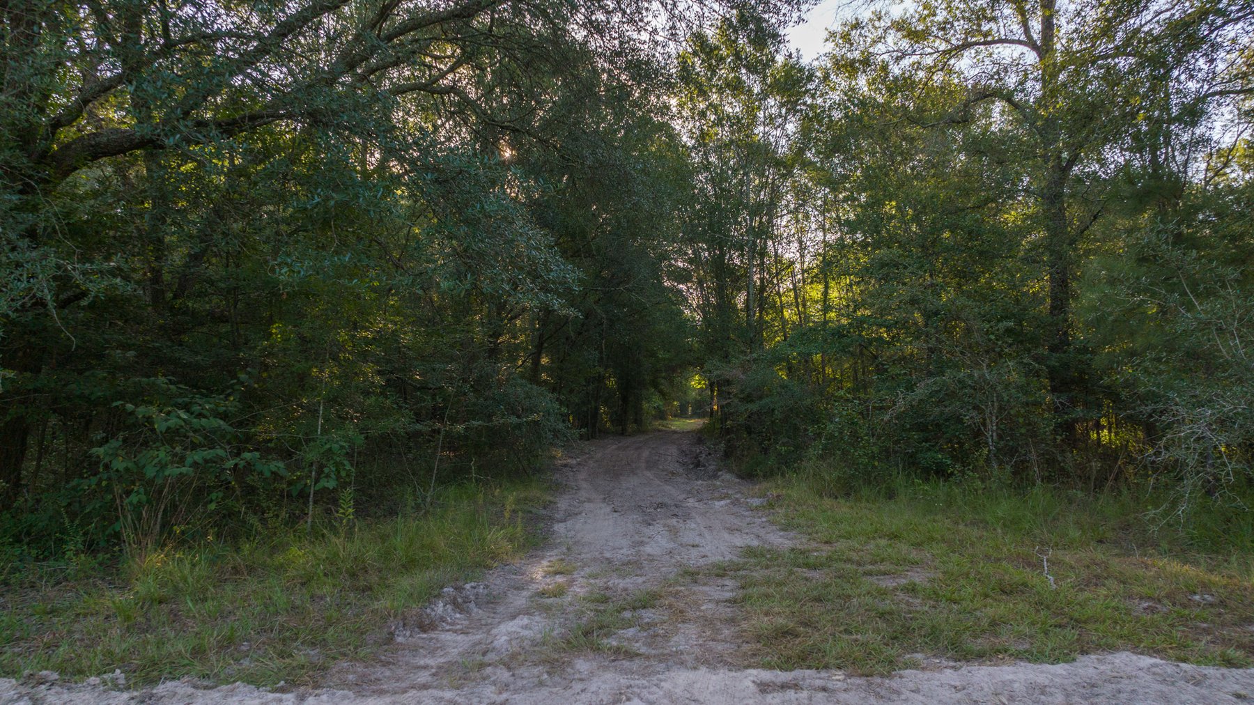 Image for 150 +/- Acres - Sportsman’s Paradise with Beautiful Custom Home in Mitchell County