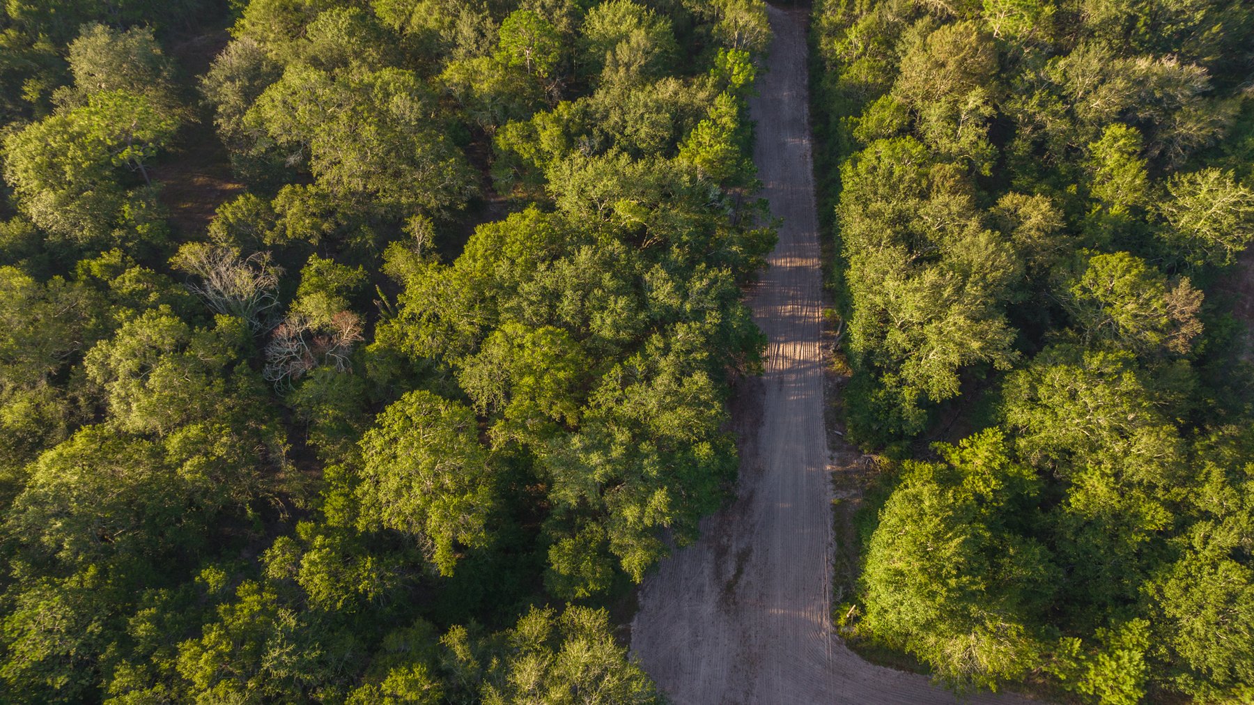 Image for 150 +/- Acres - Sportsman’s Paradise with Beautiful Custom Home in Mitchell County