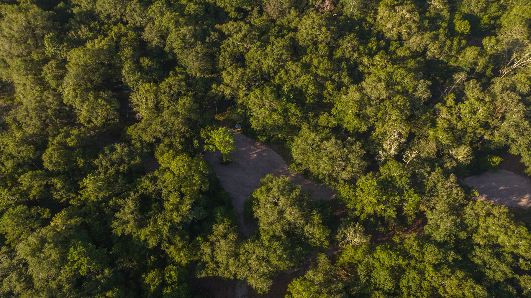 Image for 150 +/- Acres - Sportsman’s Paradise with Beautiful Custom Home in Mitchell County