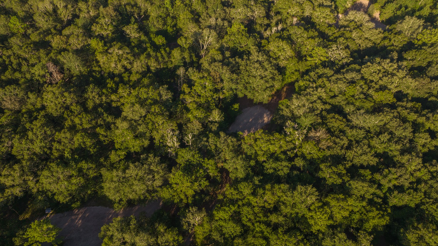 Image for 150 +/- Acres - Sportsman’s Paradise with Beautiful Custom Home in Mitchell County