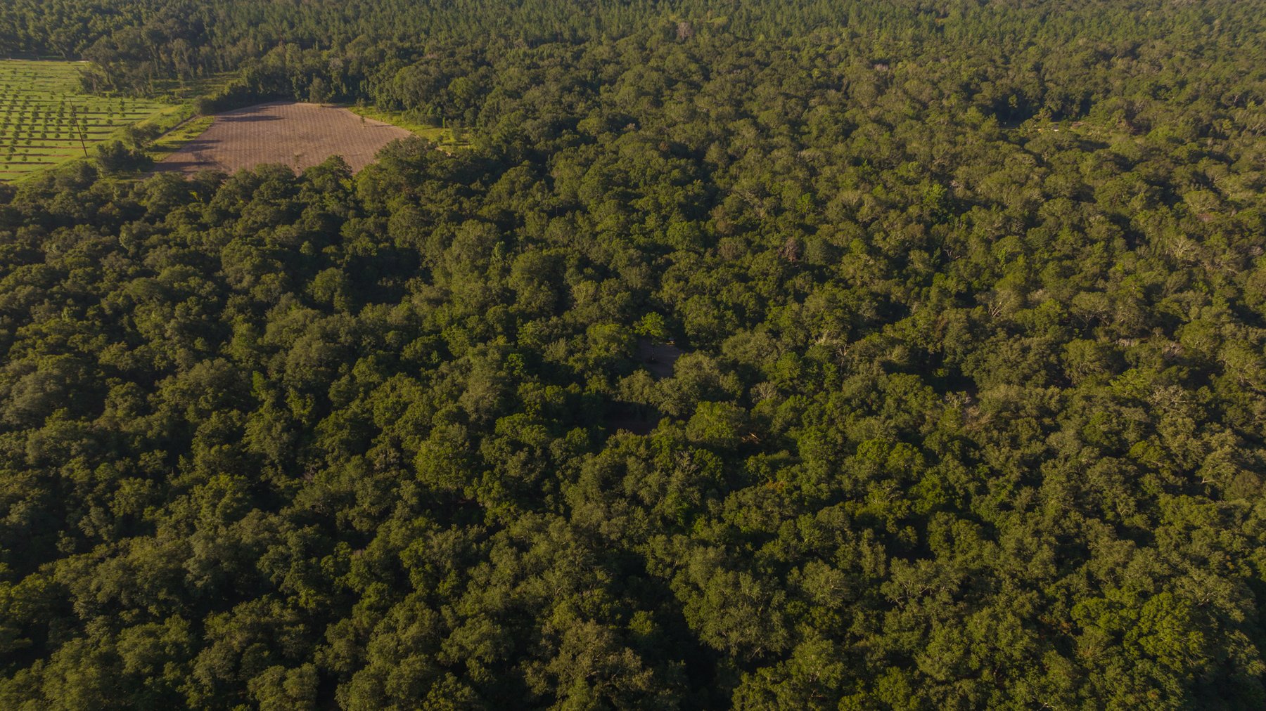 Image for 150 +/- Acres - Sportsman’s Paradise with Beautiful Custom Home in Mitchell County