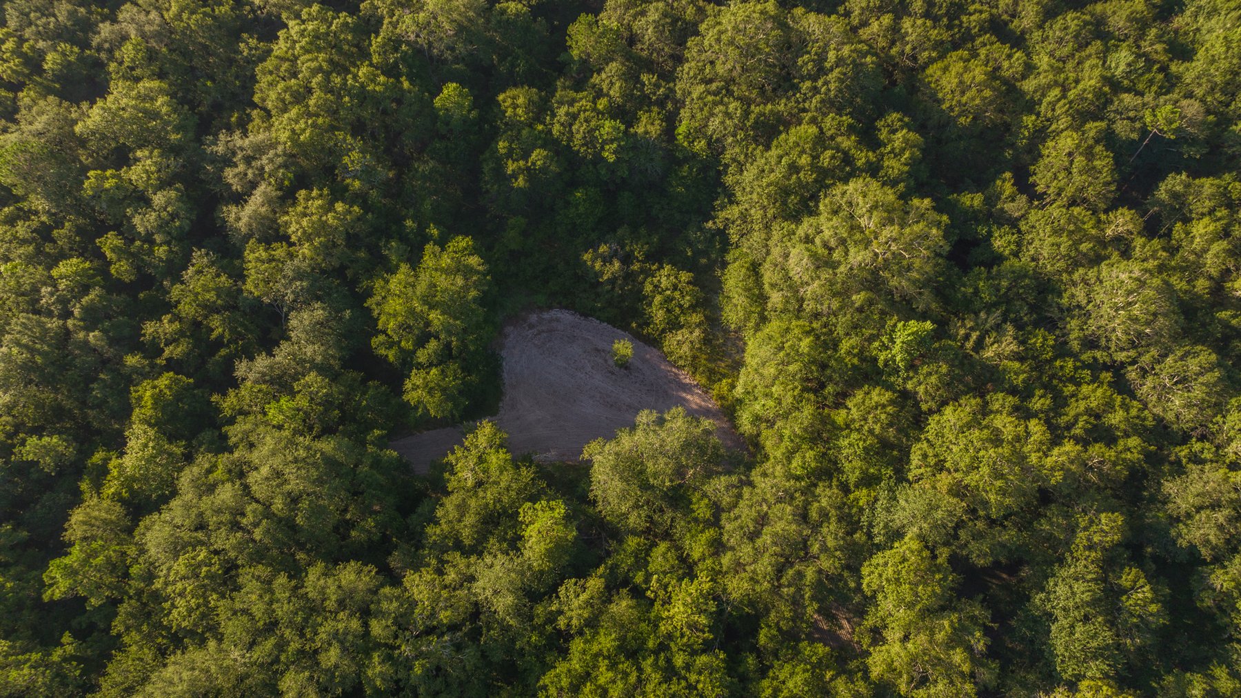 Image for 150 +/- Acres - Sportsman’s Paradise with Beautiful Custom Home in Mitchell County