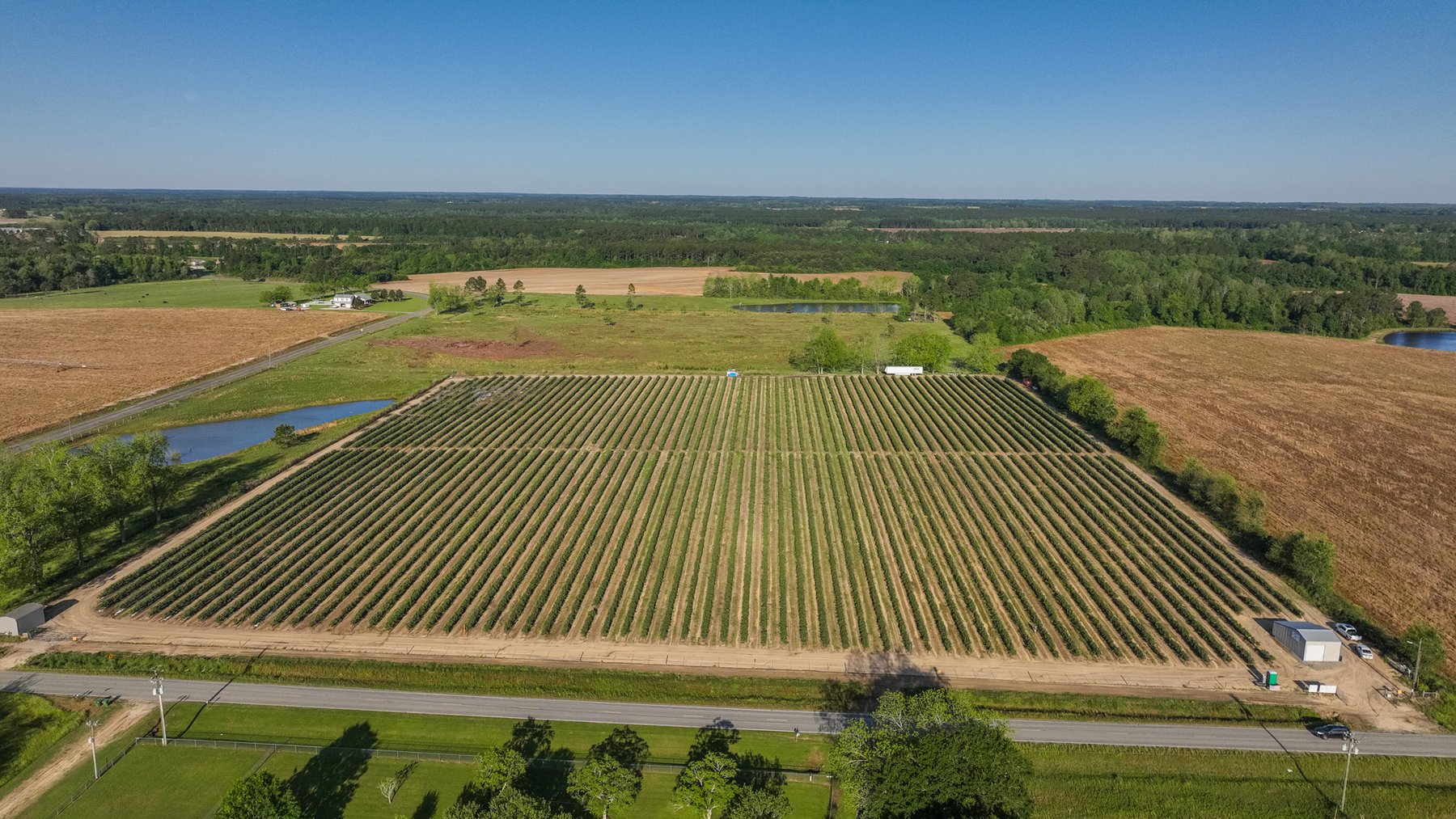 Image for Commercial Blueberry Farm on 18.28+/- Acres - Colquitt County, Georgia