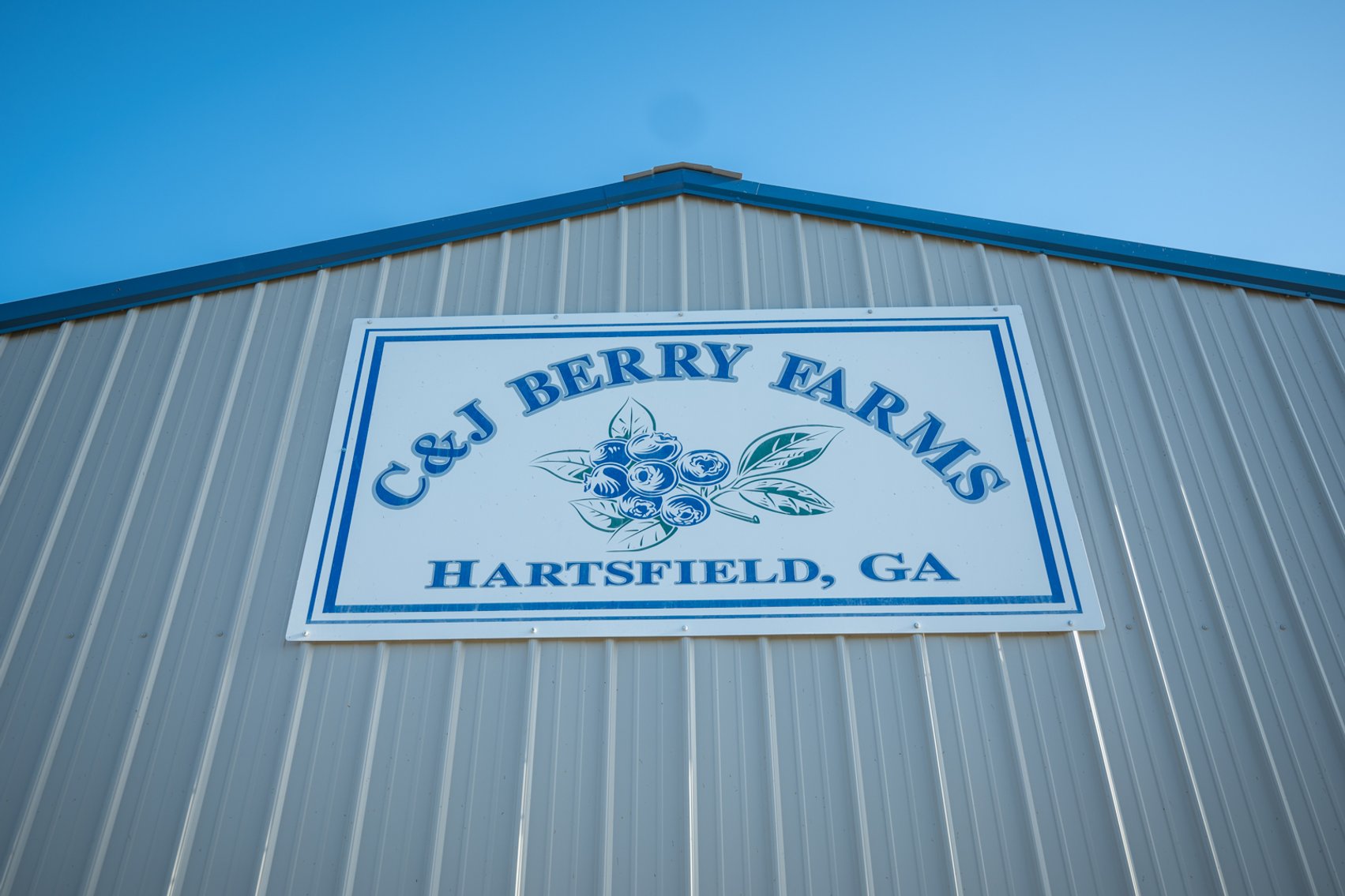Image for Commercial Blueberry Farm on 18.28+/- Acres - Colquitt County, Georgia