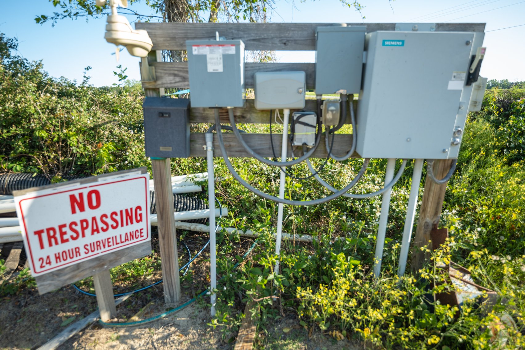Image for Commercial Blueberry Farm on 18.28+/- Acres - Colquitt County, Georgia