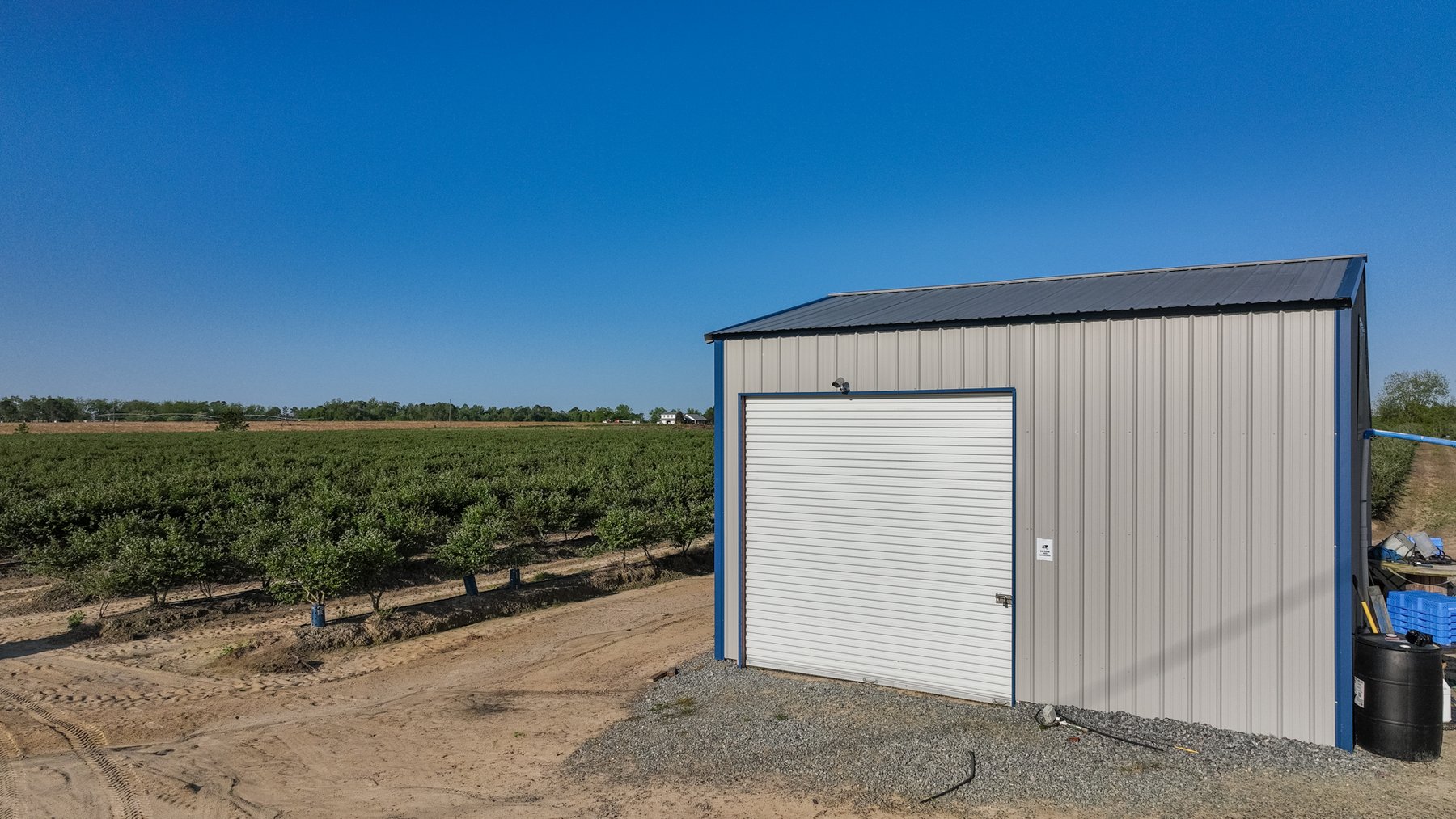 Image for Commercial Blueberry Farm on 18.28+/- Acres - Colquitt County, Georgia