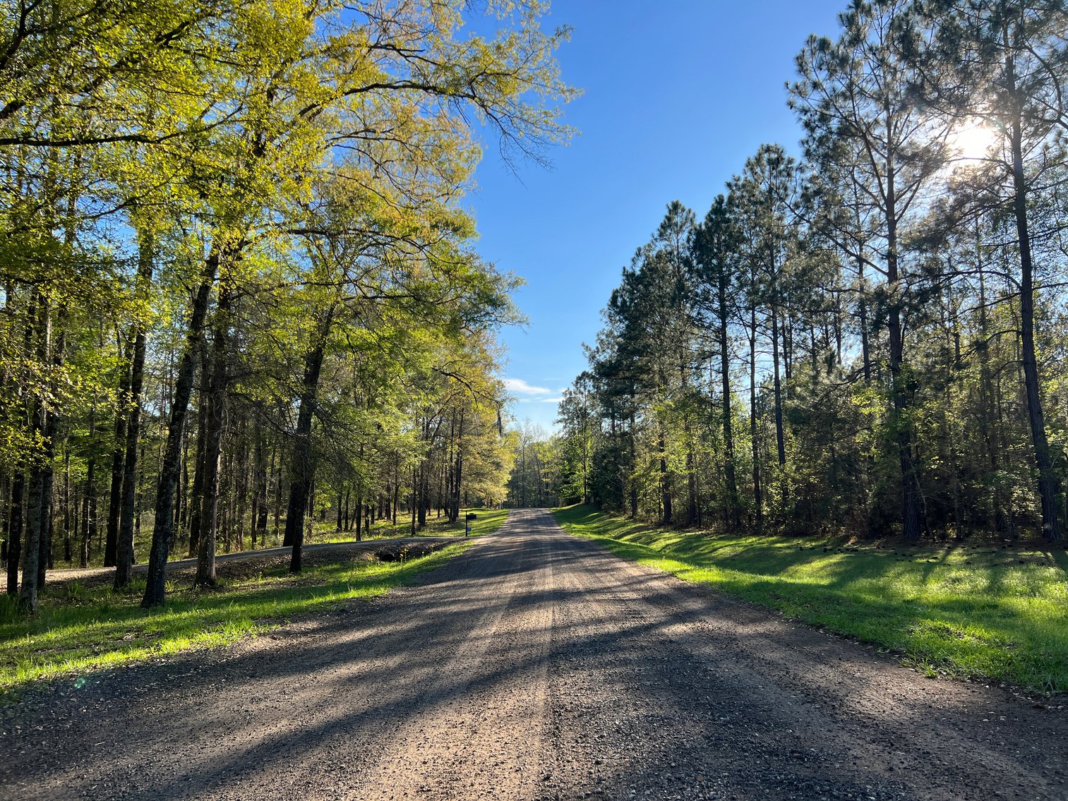 Image for 11.8 +/- Acres Covey Cove at Goose Hollow